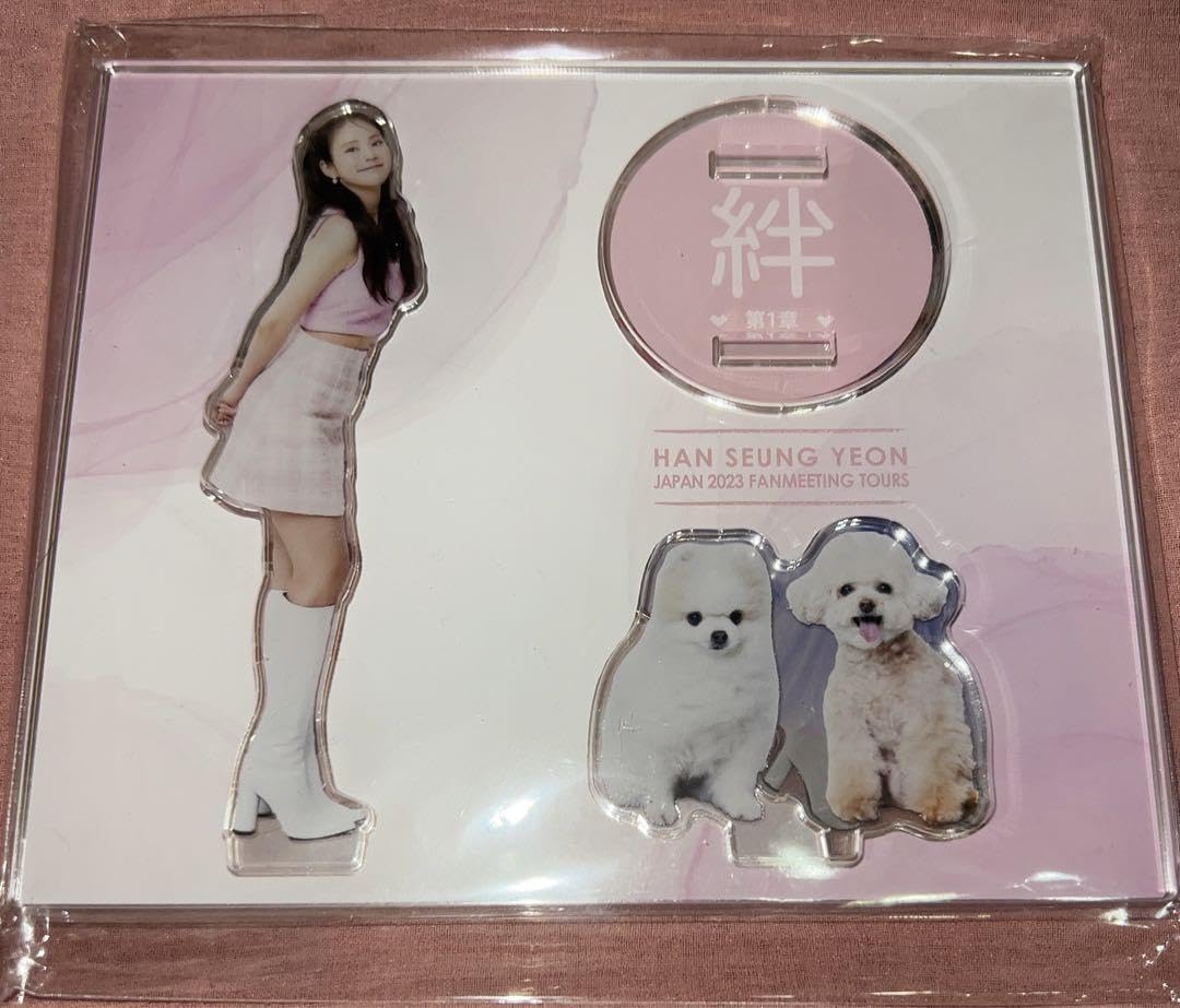 Amazon.co.jp: KARA カラ グッズ スンヨン”ファンミ 絆第1章 アクリル